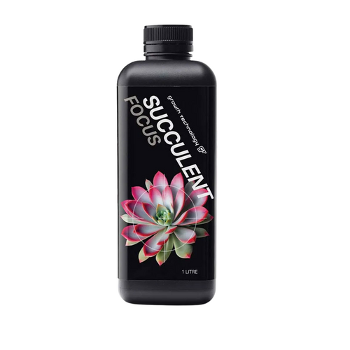 Succulent Focus 1 Litre - Nutrient for Succulent & Cacti - Concentrate